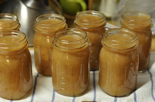 home made apple sauce in 7 pint jars with a kitchen white and blue towel under the