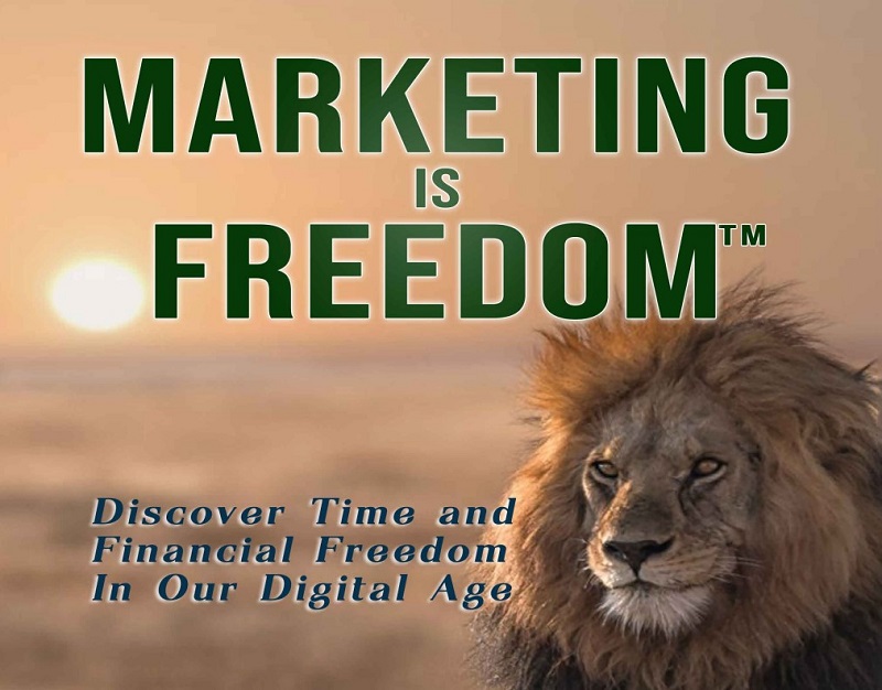 Sunset background in Africa, marketing is freedom and a large male lion picture. It also says Discover Time and Financial Freedom in our digital age.